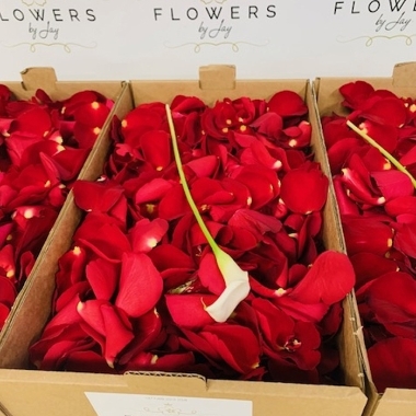 Petals