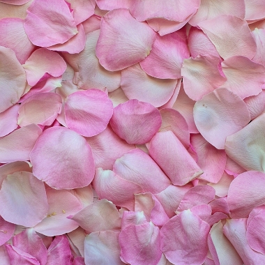Ceremony petals