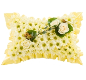 Lemon Based Pillow