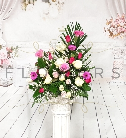 Mirror Image Pinks & Whites