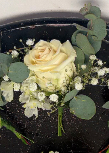 Cream Rose Buttonhole (Gyp)