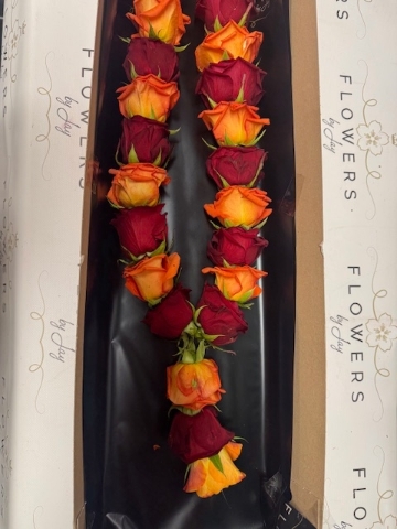 Jai Mala (Orange & Red Rose)