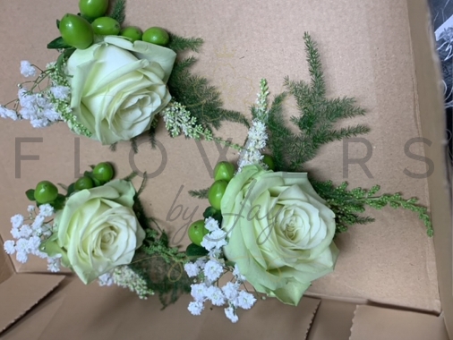 Lime Rose, Leaf, Gyp & Cream Ast BH