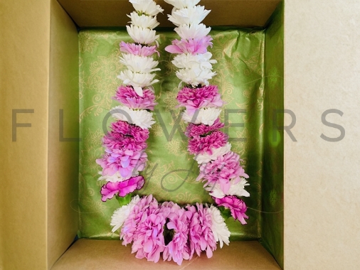 White &  Pink Chrys